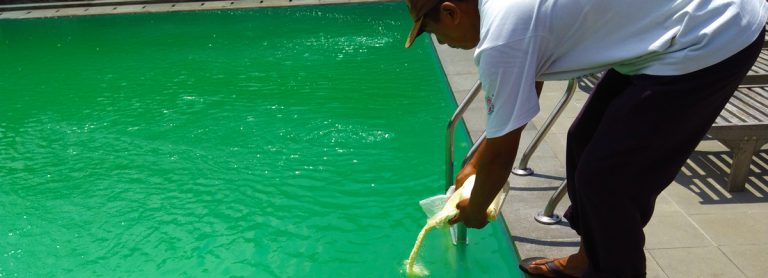 Treatment Kolam Renang